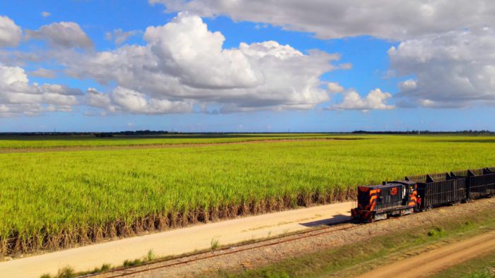 Central Romana Sugar Fields