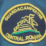 Guardacampeste